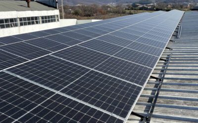 Why Businesses Are Choosing Solar Energy